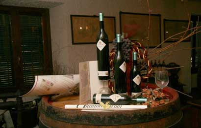 enoteca_marchesi-di-barolo