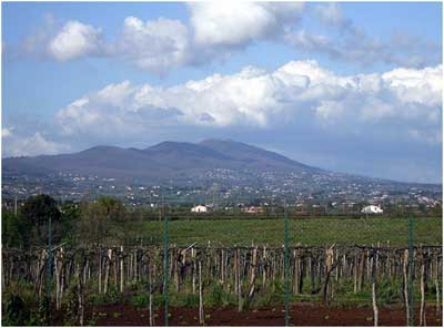 lazio-vigna