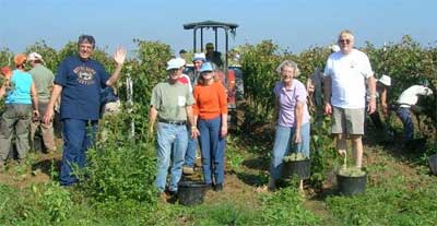 Cantina Sergio Mottura e i "motturisti"